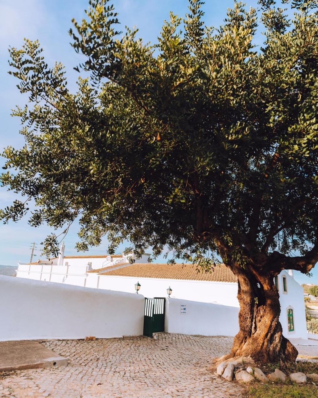 Cerca Velha - Country House Albufeira Extérieur photo