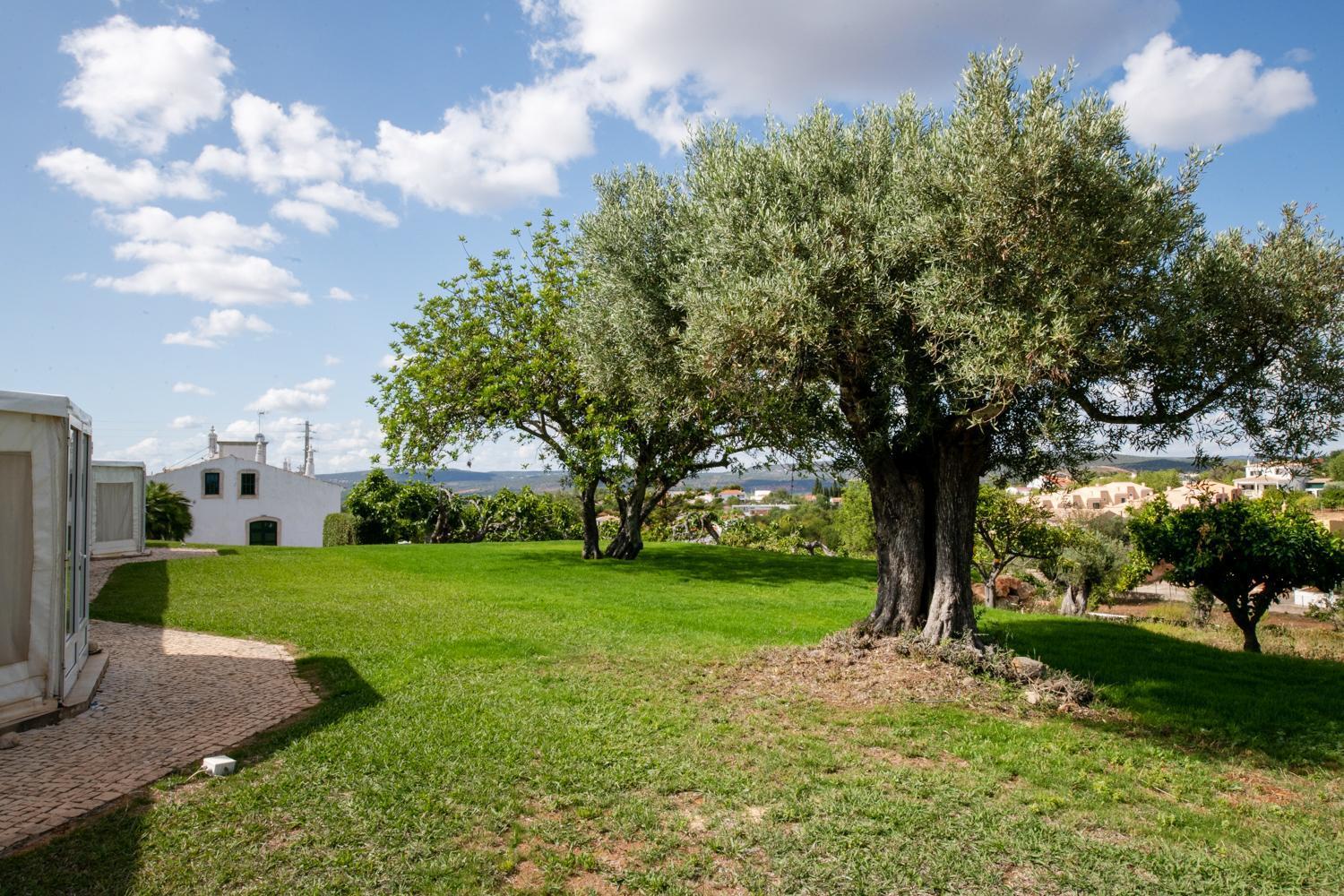 Cerca Velha - Country House Albufeira Extérieur photo